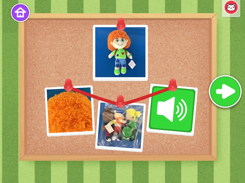 Investigations 12